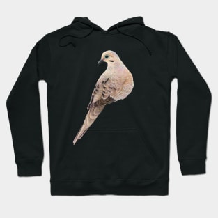 Mourning Dove Hoodie